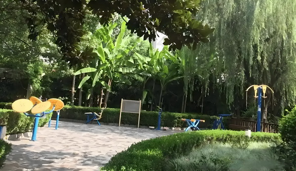 我为伊人狂