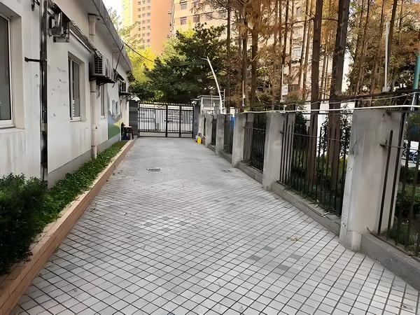仙骨仙途